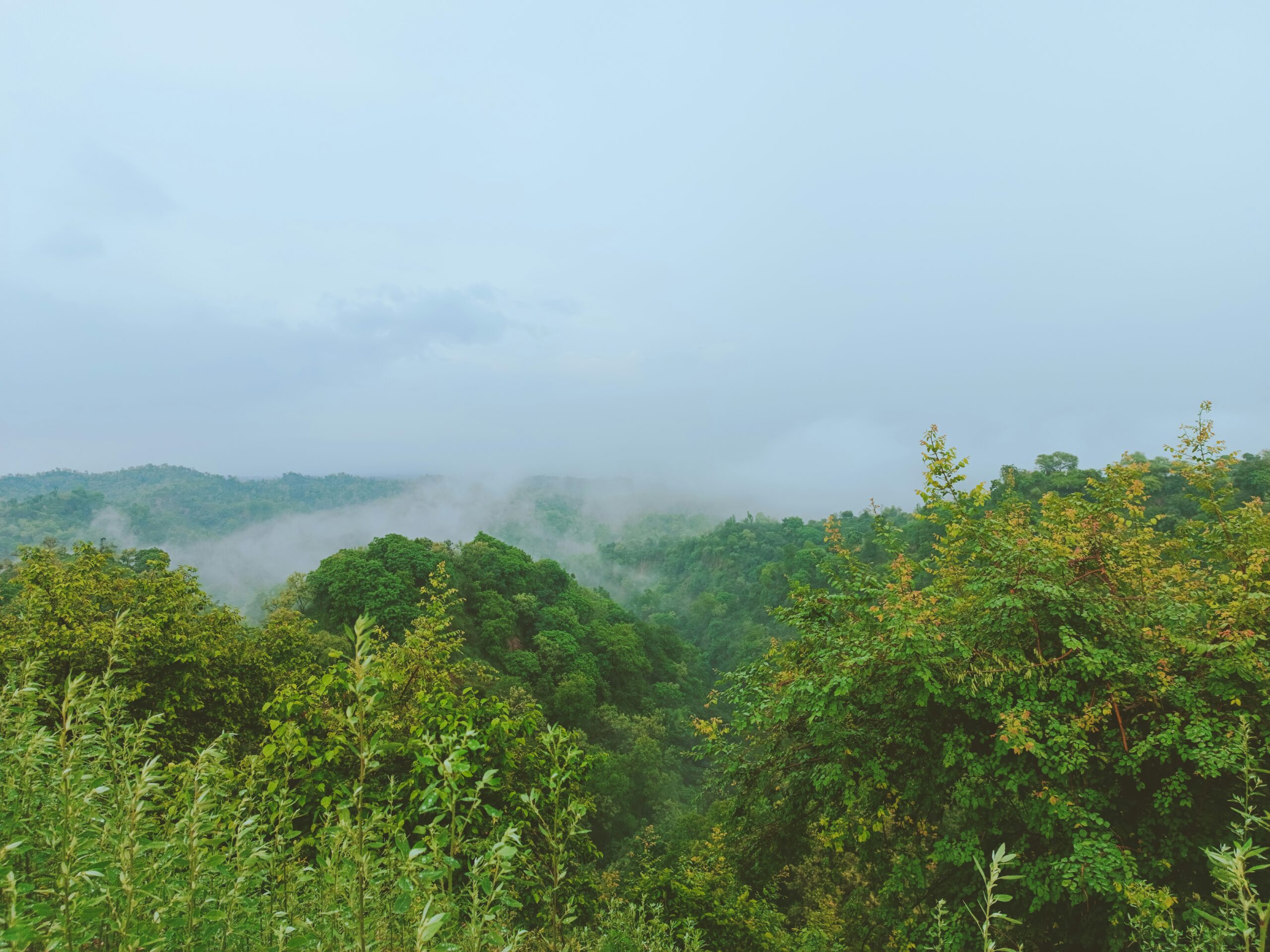 Hamirpur