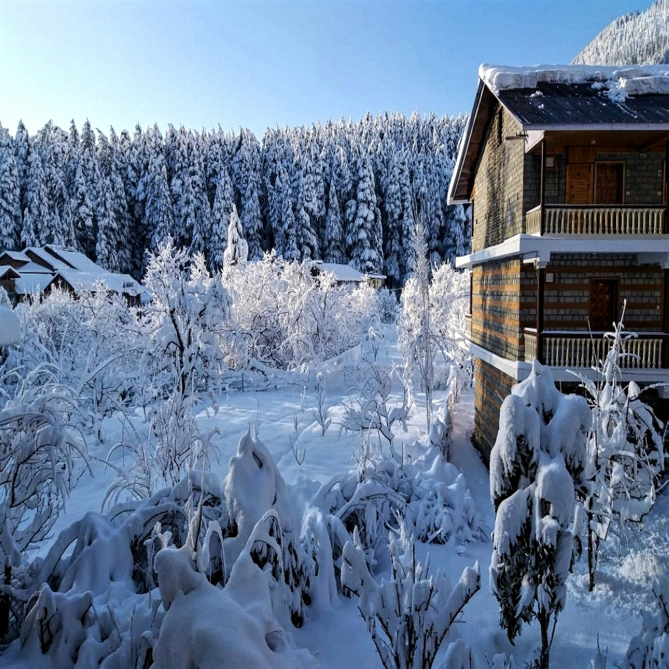 Manali